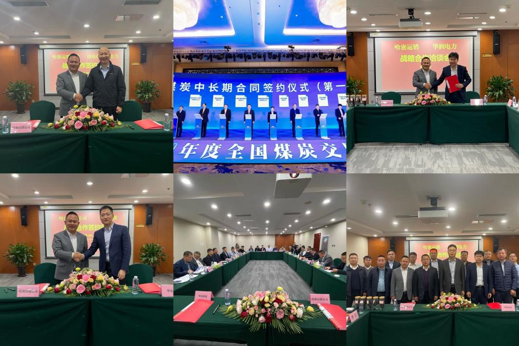 下层动态-狮子会游戏
