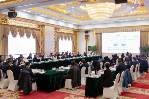下层动态-狮子会游戏