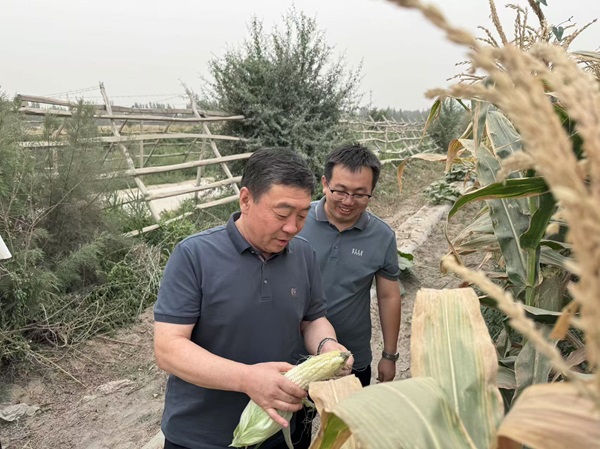 狮子会游戏新闻-狮子会游戏